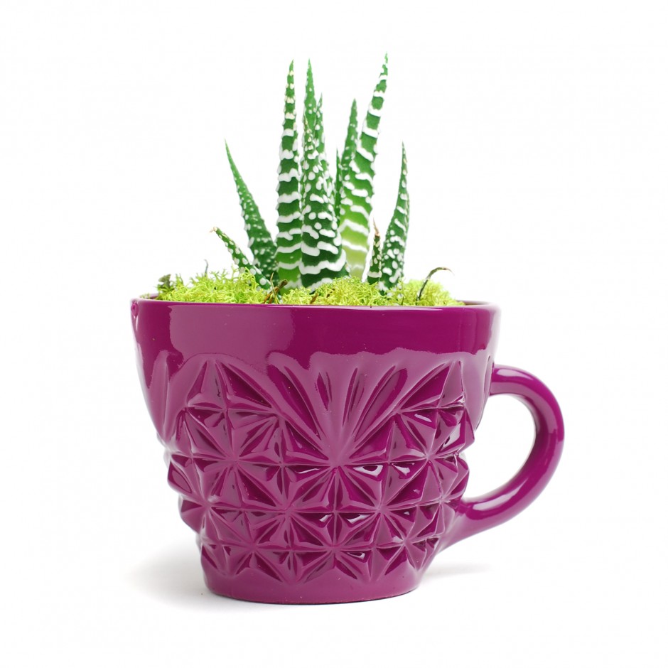 Singleton Crystal Punch Cup Planter