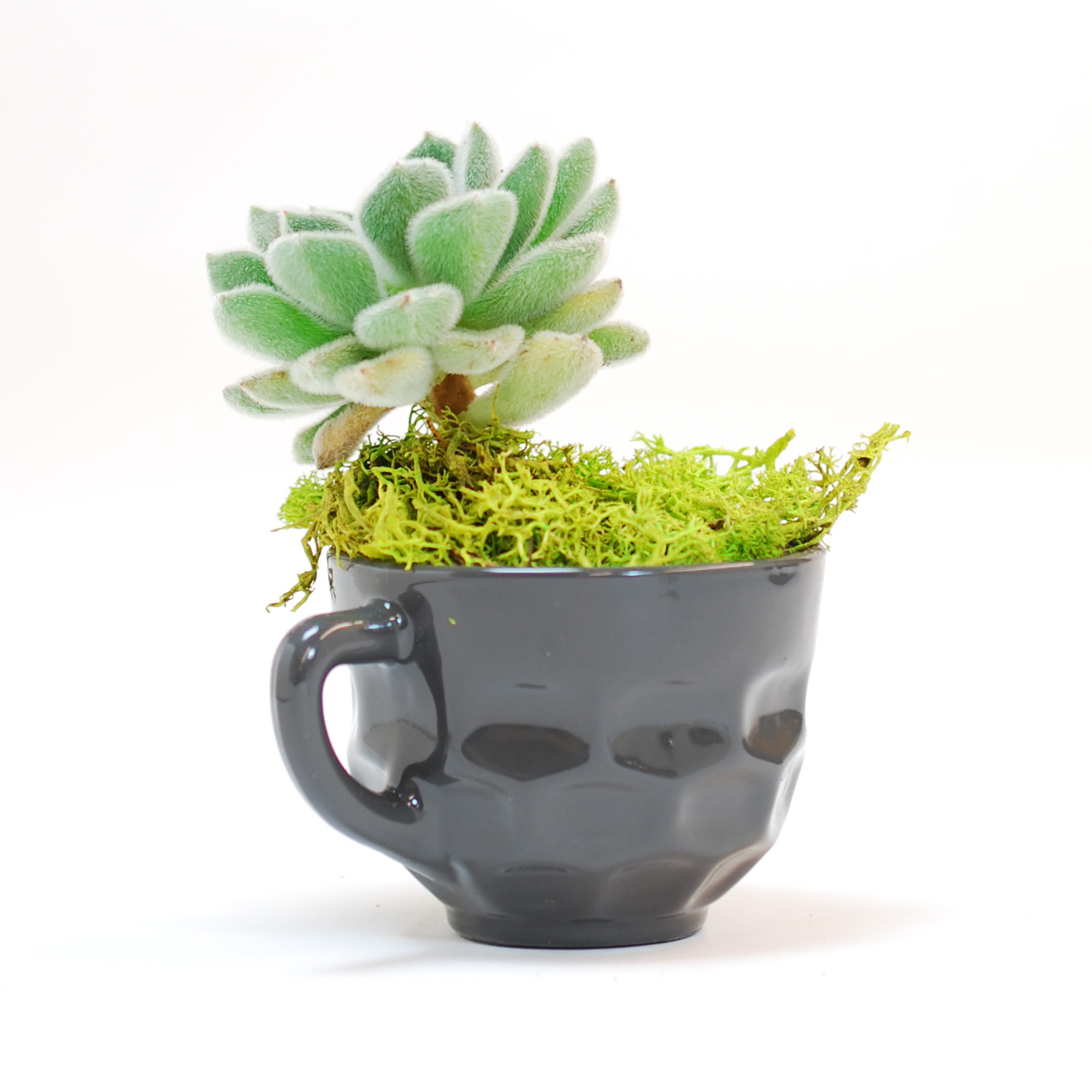 Grey Punch Cup Planter