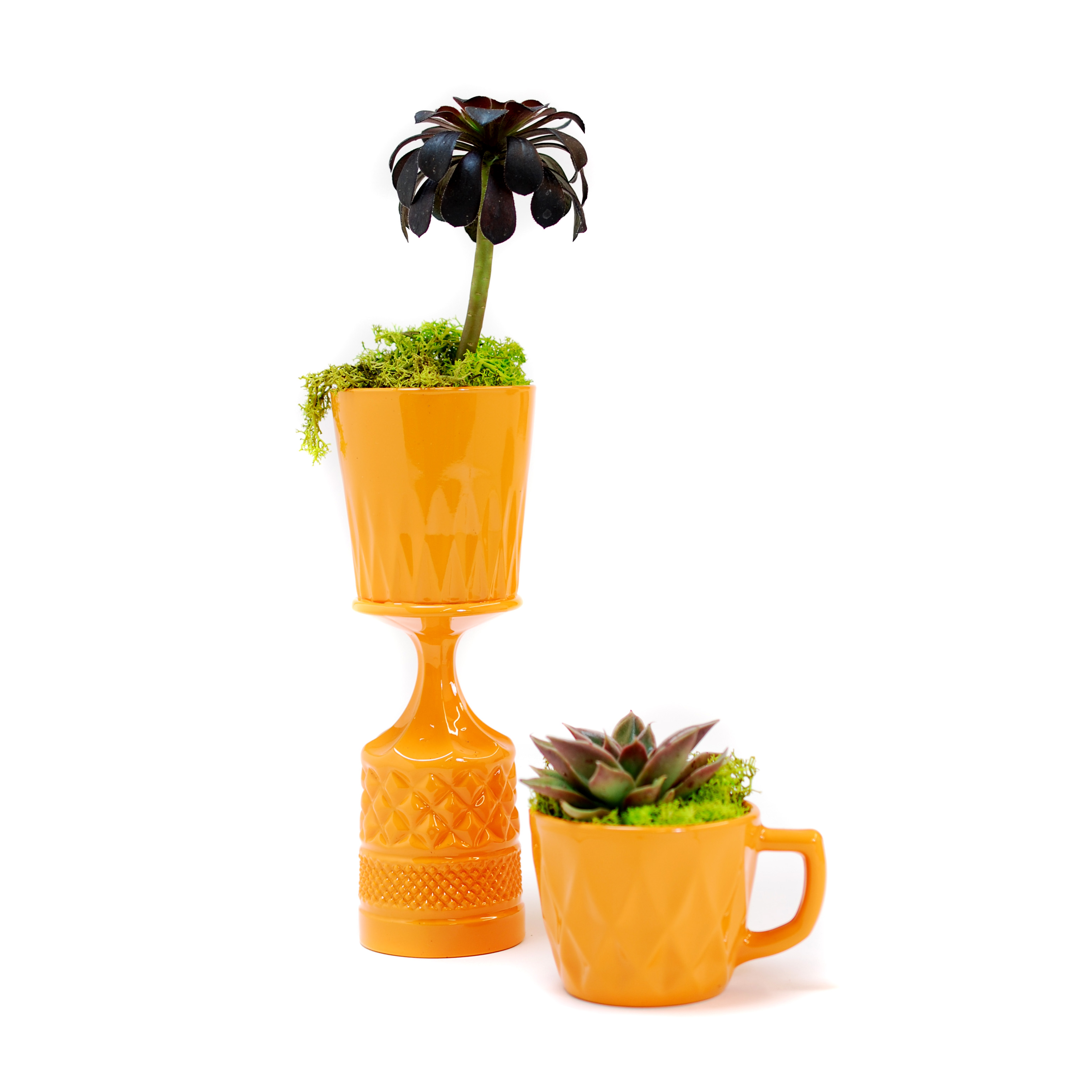 Orange Punch Cup Planter